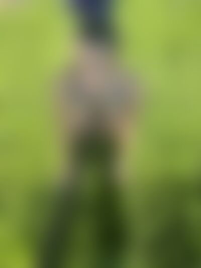 AliciaSweets - Galeriebild 5