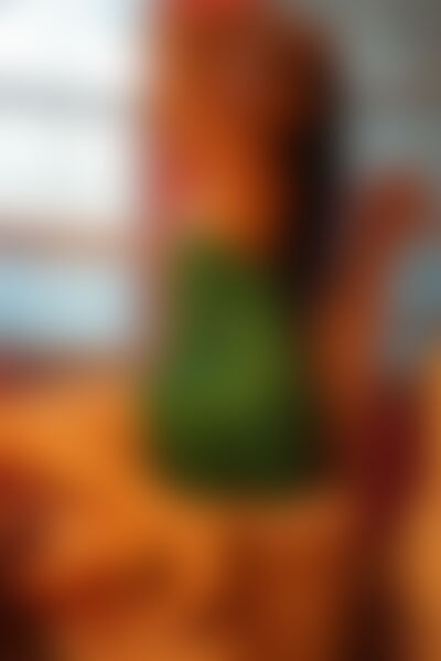 AvahNoir - Gallery picture 3