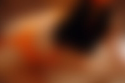 EvansMilana - Gallery picture 7