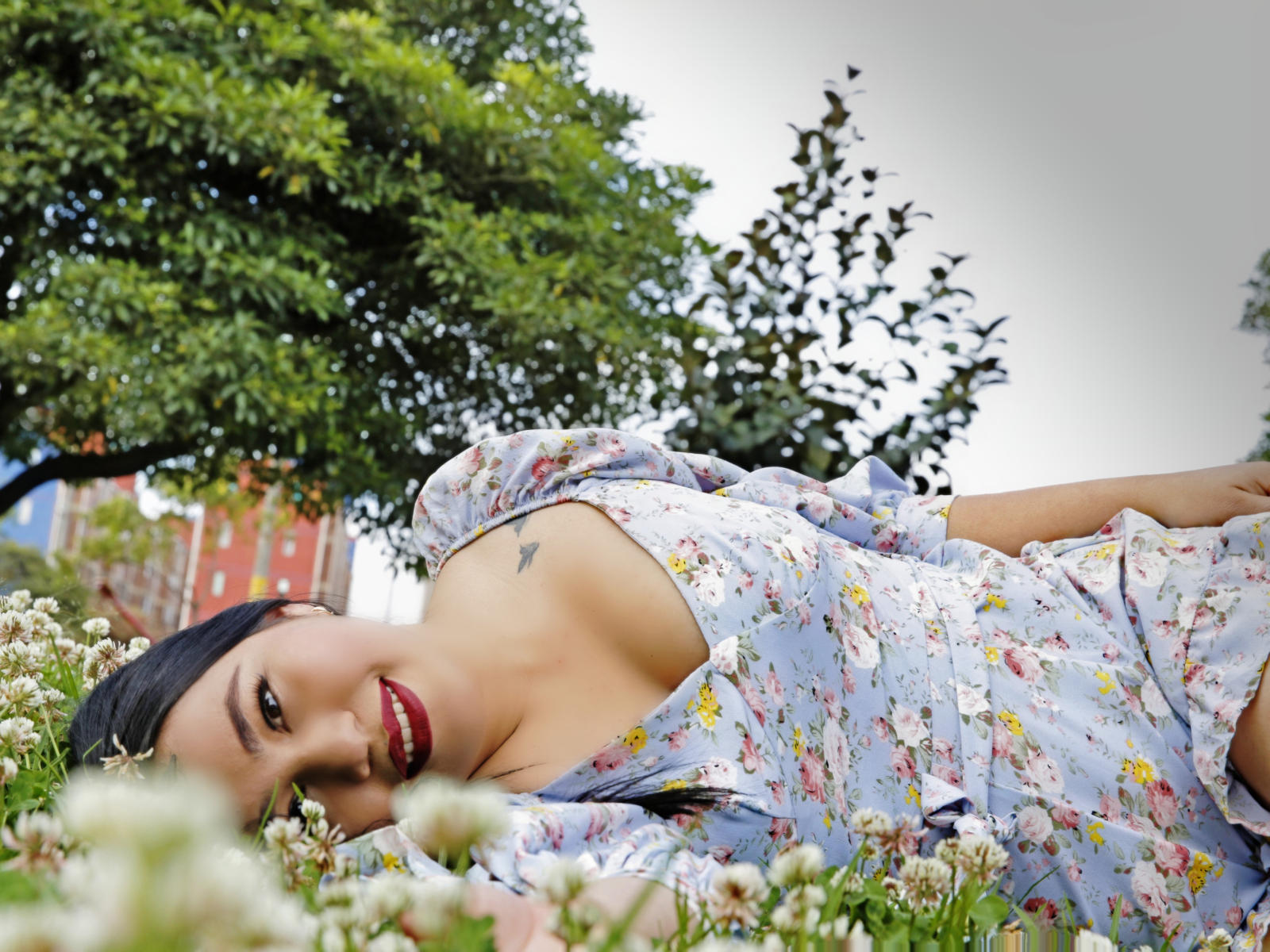 TaiTanakaa - Image de la galerie 7