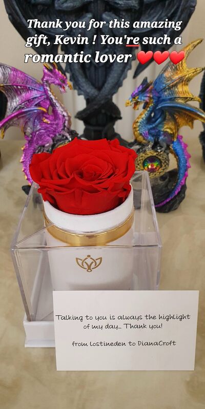 DianaCroft - Imagem da galeria 1