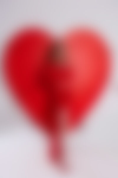 SelenaLain - Imagem da galeria 2