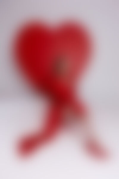 SelenaLain - Imagem da galeria 1