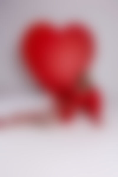 SelenaLain - Imagem da galeria 5