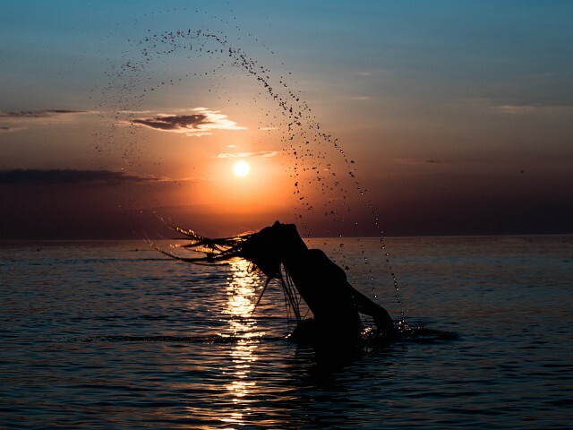 Magnifique - Galleri bild 1